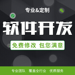 软件开发